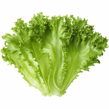 Салат Фриллис пакет, 100г