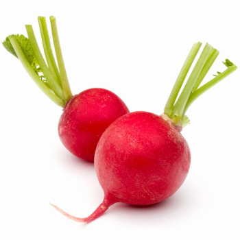 Редис