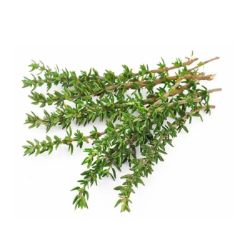 Тимьян Коррекс, 25г 