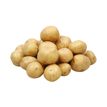 картофель_беби