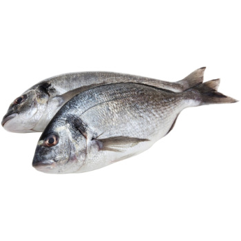 Дорадо свеже-мороженная 1кг