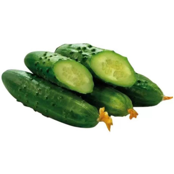 Огурец Атлет