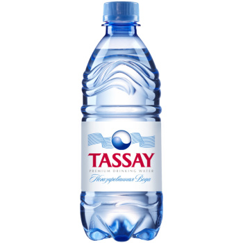Вода минеральная Tassay негазированная, 0,5л