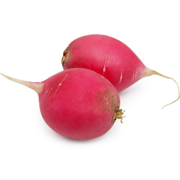 Редька красная 