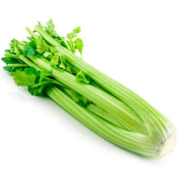 Сельдерей