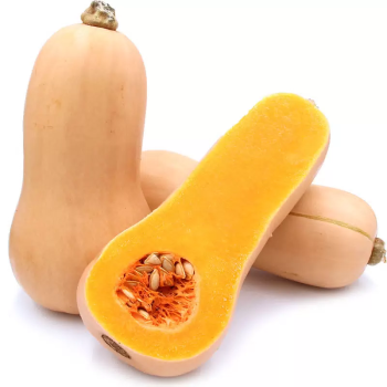 тыква_баттернат