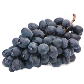 Виноград чёрный 