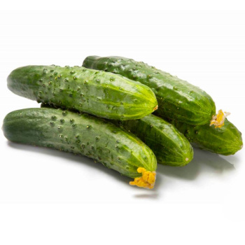 Огурец Среднеплодный колючий