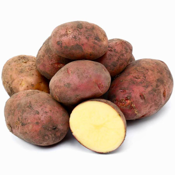 Картофель Красный