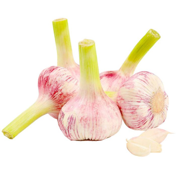 Чеснок молодой 1кг (вес)