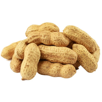 Арахис жареный неочищенный